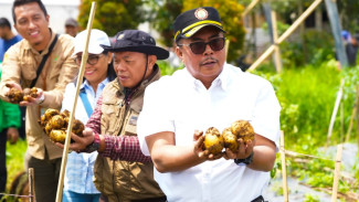 Implementasi Model Pertanian Terpadu Hulu-Hilir Terus Difokuskan Kementan