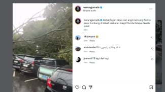 Pohon Tumbang Timpa Beberapa Mobil di Dekat Masjid Sunda Kelapa
