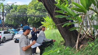 Waspada Cuaca Ekstrem, Distamhut DKI Intensifkan Mitigasi Pohon Tumbang