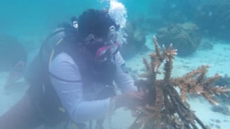 Libur Imlek 2026, Kepulauan Seribu Jadi Destinasi Wisata Favorit Warga Jakarta