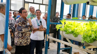 Pemprov DKI Dorong Urban Farming untuk Perkuat Ketahanan Pangan
