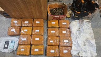 Tangkap Pengedar Narkoba di Jakbar, Polisi Sita 18 Kg Ganja dari Dua Lokasi