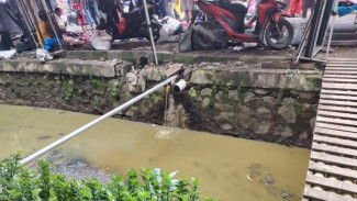 Usaha Penggemukan Sapi di Kalideres Disorot, Pemkot Jakbar Turun Tangan Cek IPAL