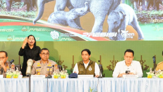 Pemenggal Kepala Gajah Sumatera Ditangkap, Menhut Tegaskan Hukuman Berat untuk Pelaku