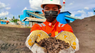 Begini Capaian PLN IP Produksi Energi Bersih Sepanjang 2025 Lewat Pemanfaatan Biomassa