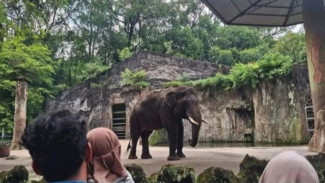 Lampaui Prediksi, Wisatawan Kunjungi Ragunan Capai 421.869 saat Libur Lebaran