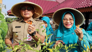 Panen Raya di Jakarta Pusat Tembus 1,1 Ton, Bukti Optimalisasi Lahan Sempit di Tengah Kota
