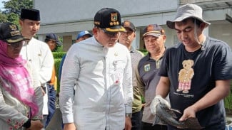 Jakarta Perangi Spesies Invasif: Operasi Sapu-Sapu Diperluas Demi Selamatkan Ekosistem
