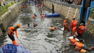 Ikan Sapu-Sapu Ancam Ekosistem Sungai Jakarta, Pramono Siapkan Penanganan Khusus