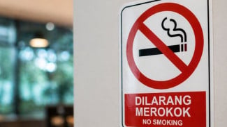 Studi Ungkap Nikotin Bisa Bantu Fokus dan Mood, Benarkah Selama Ini Disalahpahami?