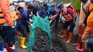 Dua Pekan Disapu, 3 Ton Ikan Sapu-Sapu Tercemar Merkuri Diangkut dari Sungai Jaktim