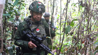 Bersenjata Lengkap! Pangkogabwilhan III Buru KKB Papua di Hutan Rimba Hingga Musnahkan Ladang Ganja