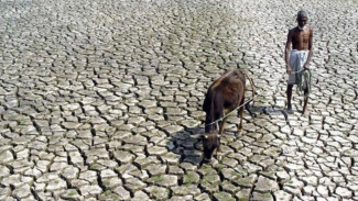 El Nino Tahun Ini Sangat Kuat, Menhut Raja Antoni Ingatkan Pengalaman 2015