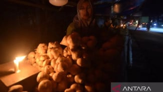 IMEF Nilai Pemadaman Bergilir Jamali Akibat Keterlambatan dan Perubahan Kebijakan RKAB Batu Bara 2026
