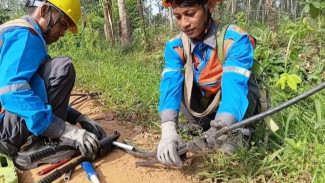 Warga Muaro Jambi Resah, Pencurian Kabel PLN Kembali Sebabkan Pemadaman Listrik