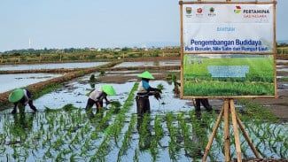 Aksi PGN dan BRIN Tingkatkan Produktivitas dan Nilai Ekonomi Pesisir Batang