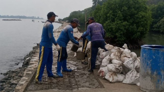 Wajah Baru Pulau Untung Jawa! Tanggul Dicor Jadi Jalur Santai dan Penahan Ombak