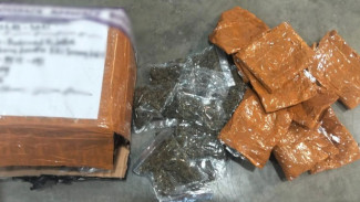 Satgas Pasgat Pamtas RI-PNG Gagalkan Penyelundupan 50 Paket Ganja di Bandara Sentani, Diduga Terkait Pendanaan OPM