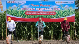 Petani Didorong Naik Kelas Lewat KUR dan Penguatan Kelompok Usaha