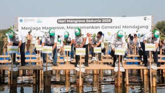 Jakarta Perkuat Benteng Alami Pantai, 21.060 Bibit Mangrove Ditanam di Lima Kawasan Strategis