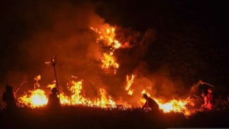 Kebakaran TNBTS, Pemadaman Andalkan Water Bombing dan Pasukan Darat