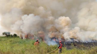 Karhutla Meluas di Jambi, PT WKS Turut Berjibaku Padamkan Api Pakai Helikopter