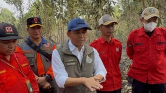 Tinjau Karhutla di Kalsel, Menhut: Api Padam di Permukaan, Gambut Masih Berasap