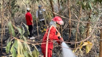 5.000 ASN Disiapkan untuk Tangani Karhutla di Enam Provinsi