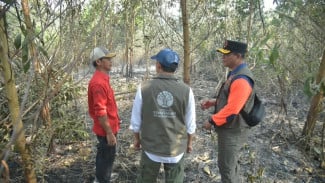 Karhutla Kalsel, Menhut Raja Antoni Kerahkan Pasukan Darat dan Tambah Water Bombing