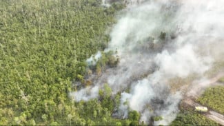 El Nino Saat Ini Sangat Kuat, Masyarakat Diminta Tak Lakukan Aktivitas Land Clearing
