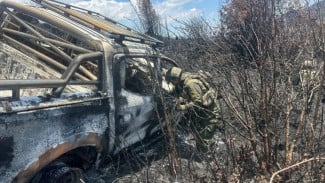 Sopir Ditemukan Meninggal dalam Mobil Terbakar di Danau Habema, TNI Sebut Pelaku OPM Kodap III Ndugama