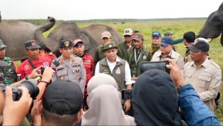 Karhutla Mengancam Habitat Gajah, Menhut Kerahkan Pasukan Darat di Padang Sugihan