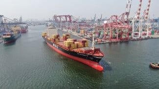 IPC TPK Sambut Layanan Baru MSC Seahorse, Hubungkan Jakarta–Shekou–Laem Chabang