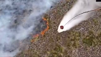 Water Bombing dan Pasukan Darat Diperkuat untuk Padamkan Karhutla Tanjung Puting