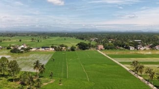 Memulihkan Sawah Pascabanjir, Aceh Jaga Ketahanan Pangan di Tengah Tantangan Produksi