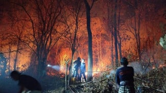 BNPB Catat Kebakaran Lahan di Sejumlah Daerah, TPA Sorong Masih dalam Penanganan