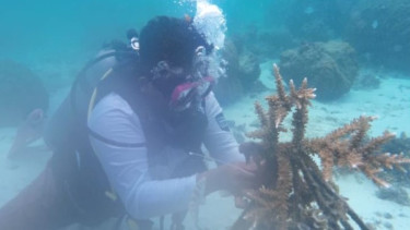 img_title
