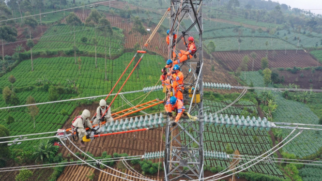 Ilustrasi pemeliharaan jaringan transmisi oleh PLN