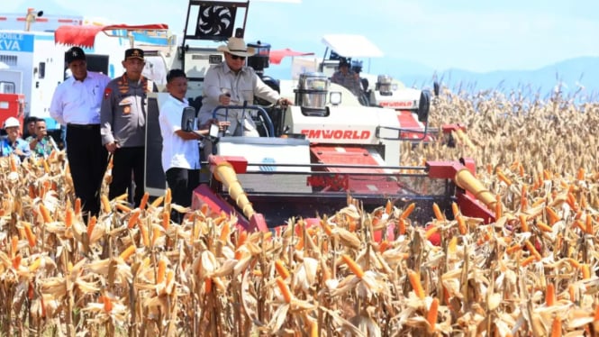 Swasembada Jagung