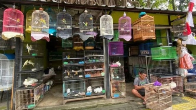 Pedagang hewan di area Taman Barito saat sebelum direlokasi.