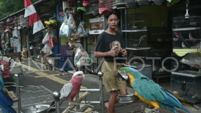 Pasar Hewan Barito, Jakarta Selatan
