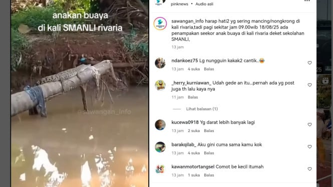 Penampakan Anak Buaya di Depok