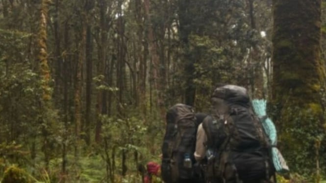Jalur Pendakian ke Gunung Patah, Kabupaten Kaur, Bengkulu.