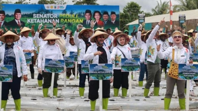 Gerakan Senator Peduli Ketahanan Pangan di Mimika Papua Tengah.