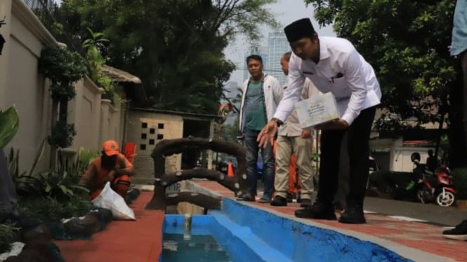 Upaya Kelurahan Pela Mampang Jaksel mempercantik lingkungan sekaligus mendukung ketahanan pangan warga.