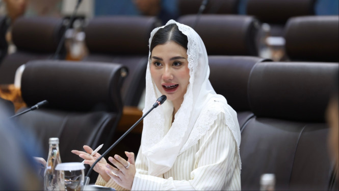 Anggota Komisi VII DPR RI, Novita Hardini