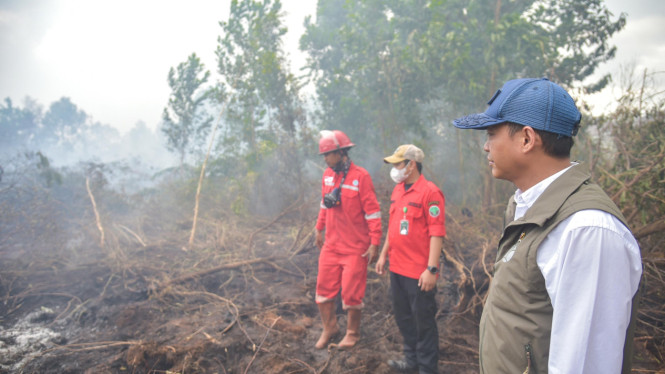 Menhut Raja Antoni tinjau lokasi kebakaran hutan dan lahan di Guntung Damar, Kalimantan Selatan.