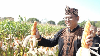 Gelar Gebyar Perbenihan di Bandung, Kementan Genjot Akselerasi Swasembada Pangan Nasional