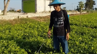 Haryono, Santri Sukses Bisnis Kacang Tanah