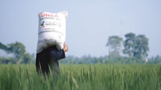 Ini Upaya Kementan Permudah Akses Petani Dapatkan Pupuk Bersubsidi